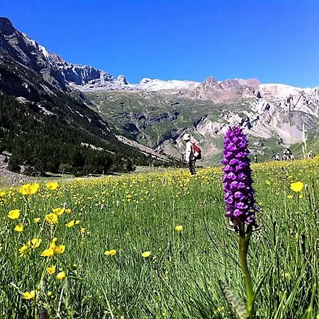 Hostel Hostel-albergue Monte Perdido Torla