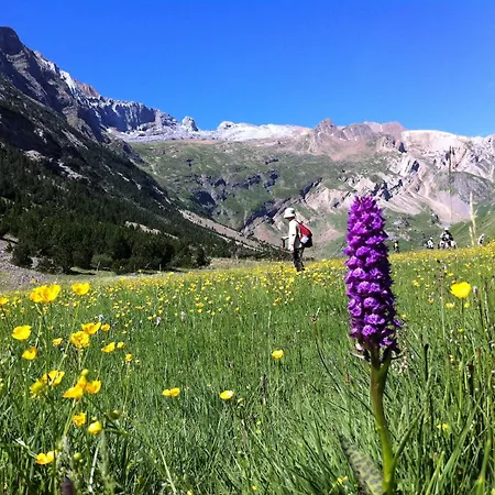 Hostel-albergue Monte Perdido Torla
